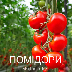 Обкладинка: помідори