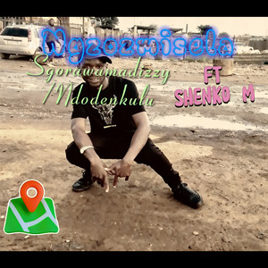 Ngzozmisela