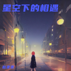 星空下的相遇 by 赵柔柔