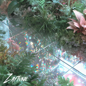 Jungle Fever by Zaytune
