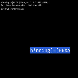 H*nning - Y2K Fallout