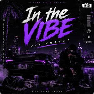 In the vibe by wiz tracka