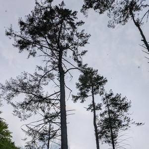 Volkspark Sounds in may