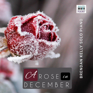 A Rose in December by Brendan Kelly