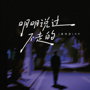 明明说过不走的（你是梦的美） - 伴奏 by 夏伟淳LAH