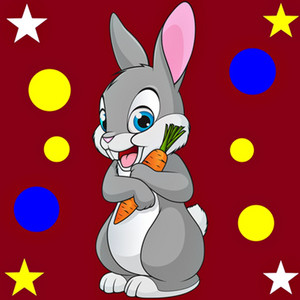 NALDO MEDEIROS - Happy Bunny Hop