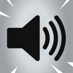 Goofy Ahh Car Horn by real wayne