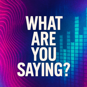 DJ King Status - What Are You Saying?