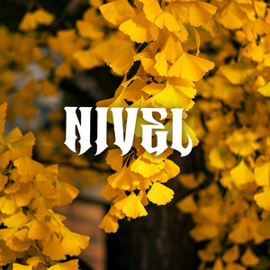 Nivel by Zeta