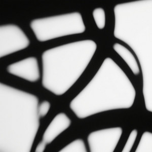 Eduardo Roza de Oliveira - Chiro chiro chinara shadow play's