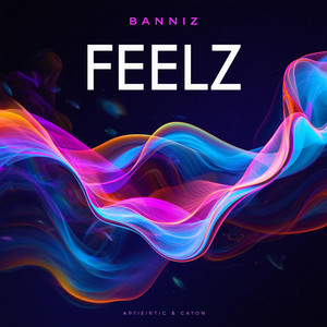 Feelz by Banniz