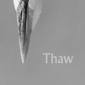 Thaw (March) by Jonath Greys