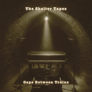 Dust on the Soundboard by The Shelter Tapes