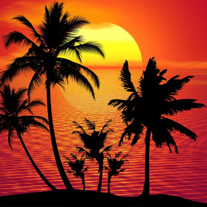 DJ EV - Tropical Vibes