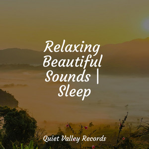 Relaxing Beautiful Sounds | Sleep For Dogs