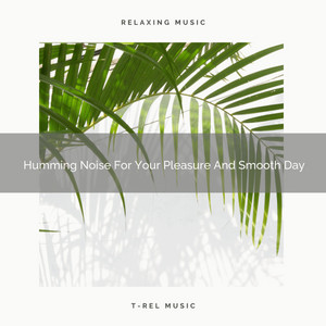 Humming Noise For Your Pleasure And Smooth Day album