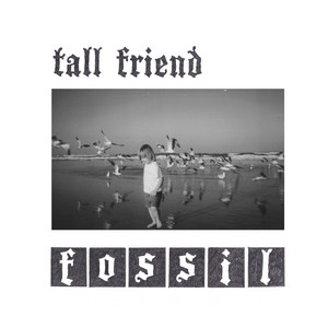 shield by Tall Friend