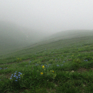 rustling grass by nœm., Fujiwara