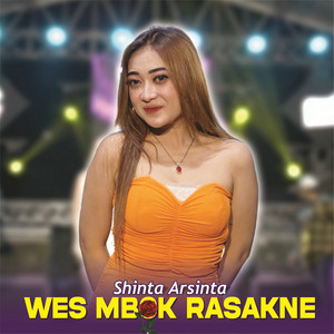 Shinta Arsinta - Wes Mbok Rasakne