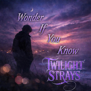 Wonder If You Know by Twilight Strays