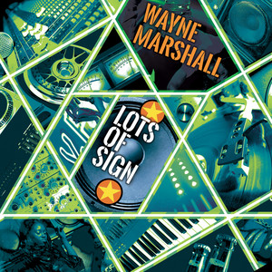 Lots Of Sign by Wayne Marshall