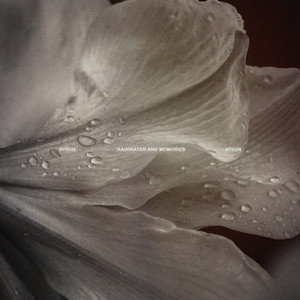 Rainwater and Memories by Aysun