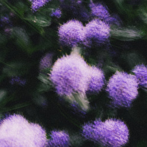 Finite Heart by En:vy