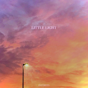 Little Light - Acoustic by Pat Rees