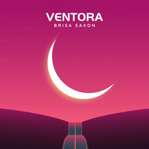 Silent Orbit Lines by Brisa Saxon