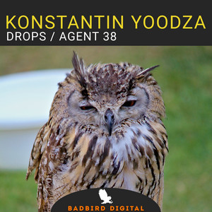 Drops / Agent 38