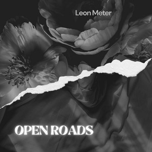 Open Roads by Leon Meter