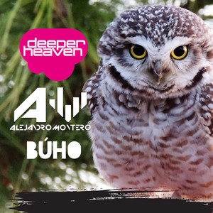 Alejandro Montero - Buho (Club Mix)