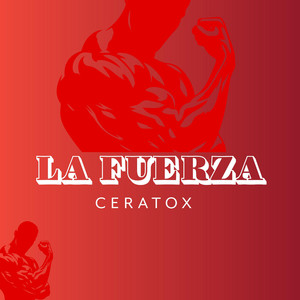 Fuerza by Felix Tafer