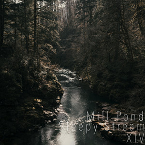 Sleepy Stream XIV by Mill Pond