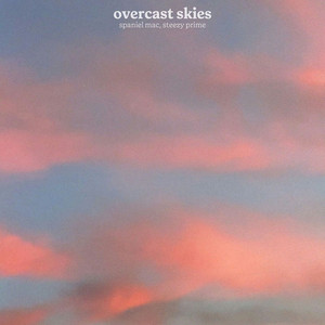 overcast skies by Spaniel Mac, steezy prime