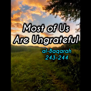 2, Surah Al-Baqarah: 243-244 by mylordtakemeaway
