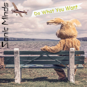Do What You Want by Sonic Minds