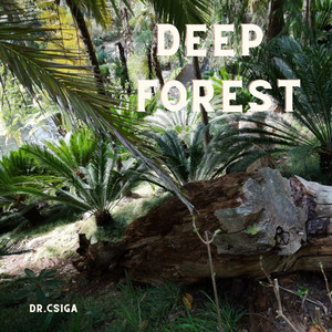 Deep Forest