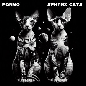 PQNMO - Sphynx Cats