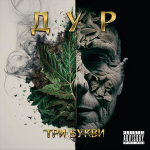 Дур — Три букви