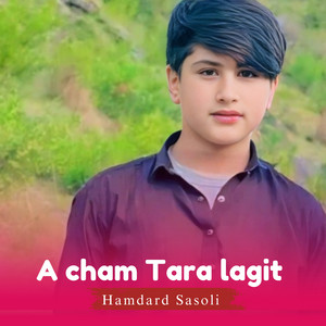 Hamdard Sasoli - A Dahory Janik