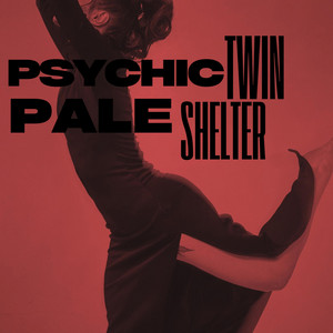 Pale Shelter by Psychic Twin, Visitor & Host