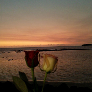 Soft Love by Phenomenal J