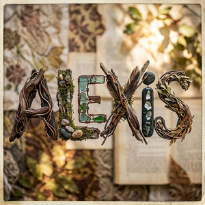 alexis by Derry