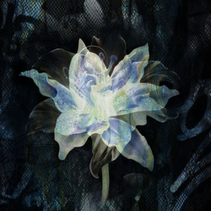 everlife by nuésu, Xllie!