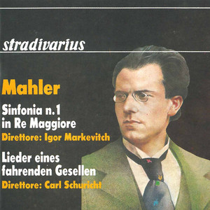 Обкладинка: Lieder eines fahrenden Gesellen: No. 4, Die zwei blauen Augen von meinem Schatz (Live)