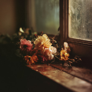 Soft Remains by Lyraen