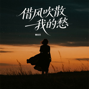 借风吹散我的愁 - DJ默涵版 by 魏佳艺