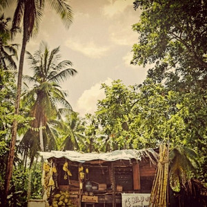 Rain Drum (fi mi soul) by Roots of Freedom