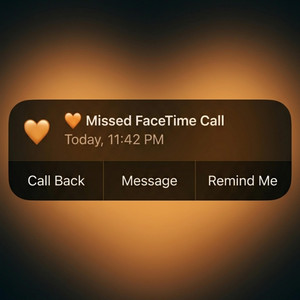 Facetime by Shane Selvan